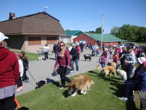 Mutt Strut 2015_A